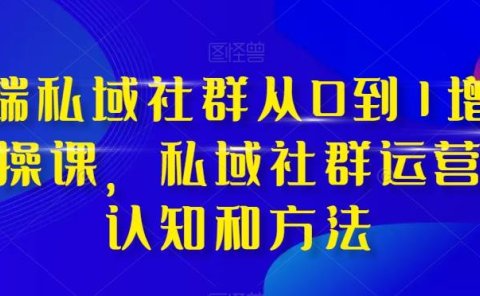 高端 私域社群从0到1增长实战课,私域社群运营的认知和方法(37节课)