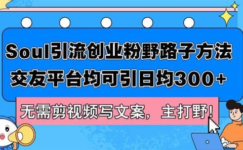 Soul引流创业粉野路子方法，交友平台均可引日均300+，无需剪视频写文案...