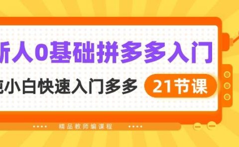新人0基础拼多多入门,纯小白快速入门多多(21节课)