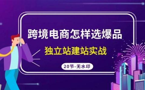跨境电商怎样选爆品,独立站建站实战(20节高清无水印课)