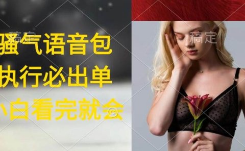 执行就出单,日入2000+,超火骚气语音包,小白看完课程就能马上实操