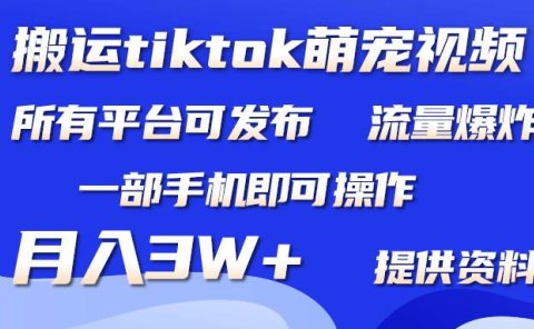 搬运Tiktok萌宠类视频,一部手机即可。所有短视频平台均可操作,月入3W+