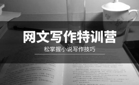 网文-写作特训营,轻松掌握小说写作技巧(20节视频课)