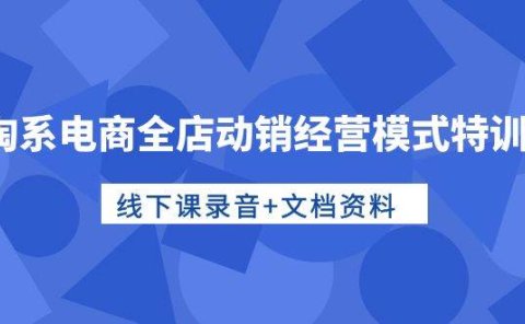 淘系电商全店动销经营模式特训营,线下课录音+文档资料