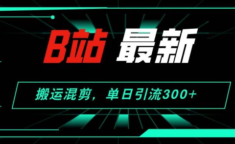 B站最新，搬运混剪，单日引流300+创业粉