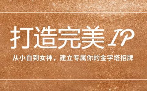 打造完美IP:从小白到女神,建立专属你的金字塔招牌(15节课)