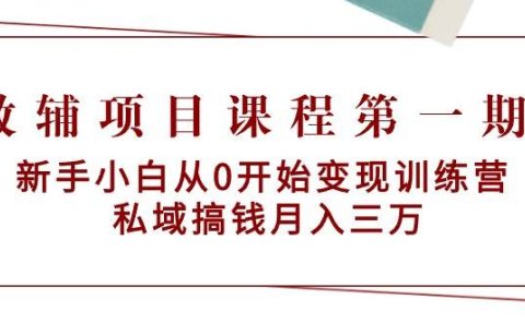 教辅项目课程第一期:新手小白从0开始变现训练营 私域搞钱月入三万