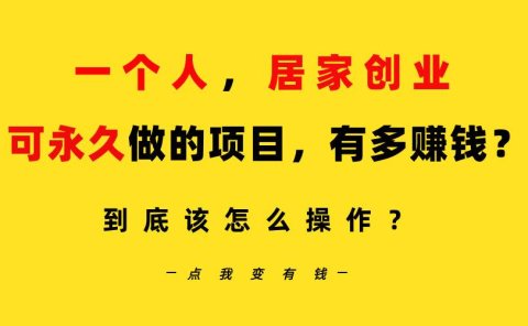 一个人，居家创业：B站每天10分钟，单账号日引创业粉100+，月稳定变现5W...