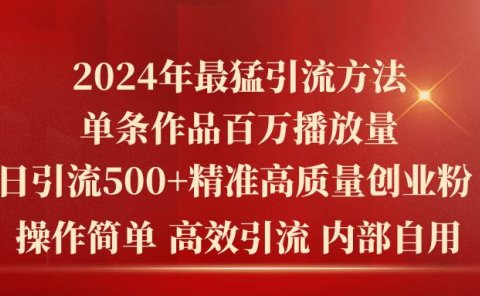2024年最猛暴力引流方法，单条作品百万播放 单日引流500+高质量精准创业粉