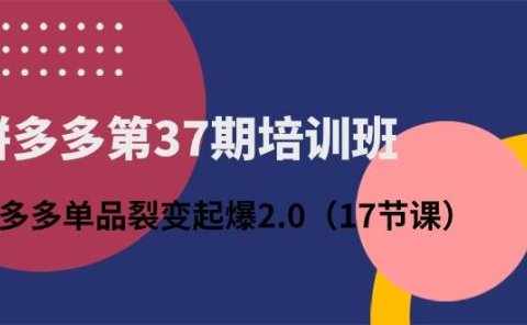 拼多多第37期培训班:拼多多单品裂变起爆2.0(17节课)