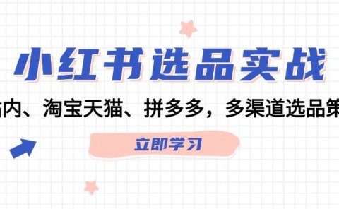小红书选品实战：站内、淘宝天猫、拼多多，多渠道选品策略