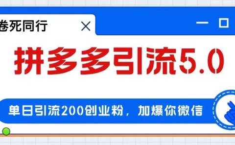 拼多多引流付费创业粉，单日引流200+，日入4000+