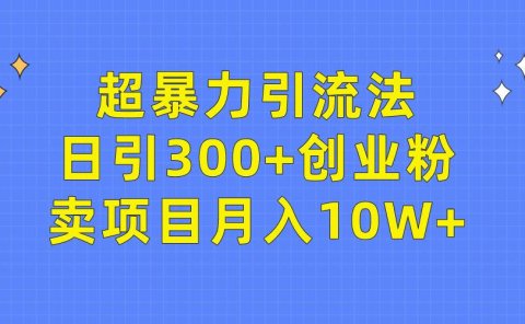 超暴力引流法，日引300+创业粉，卖项目月入10W+