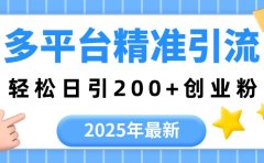 2025年最新多平台精准引流，轻松日引200+