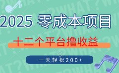 2025年零成本项目,十二个平台撸收益,单号一天轻松200+
