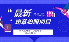 最新违章拍照项目,解气又赚钱,随手一拍,轻松收入3000