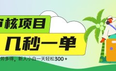 审核视频,几秒一单,多劳多得,新人小白一天轻松 300➕