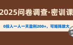 2025《问卷调查》0投入一人一天盈利200+,可矩阵放大