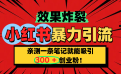 小红书炸裂玩法，亲测一条笔记就能吸引300+精准创业粉！