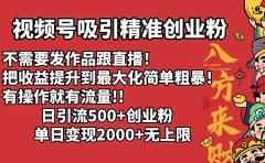视频号吸引精准创业粉!不需要发作品跟直播！把收益提升到最大化，简单粗暴！有操作就有流量！日引500+创业粉，单日变现2000+无上限