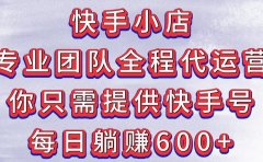 快手小店,专业团队全程代运营,你只需提供快手号,每日躺赚600+
