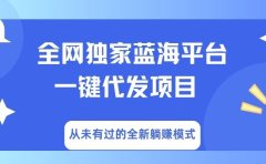 全网独家蓝海平台,一键代发,从未有过的全新躺赚模式