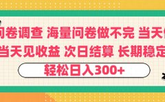 问卷调查 一手资源海量问卷做不完 次日结算 可全职可兼职 长效稳定 当天做当天见收益 轻松日入300+
