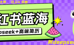 Deepseek+小红书简历蓝海赛道 日入无上限 24小时网盘自动发货 零成本 不限时间地点 轻松玩赚副业日入四位数