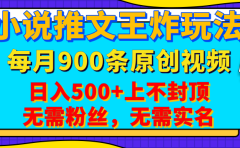 小说推文王炸玩法,一键代发,每月最多领900条原创视频,播放量收益日入500+上不封顶,无需粉丝,无需实名