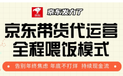 京东带货代运营,打工人翻身逆袭项目,小白有手就行,月入8000+