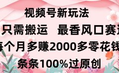 日入2000+,条条100%过原创,视频号最香风口赛道,小白轻松上手