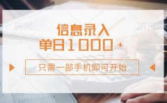 信息录入,几秒钟一单,只需一部手机即可开始,0成本,每天1000+