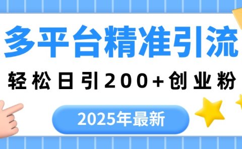 2025年最新多平台精准引流，轻松日引200+