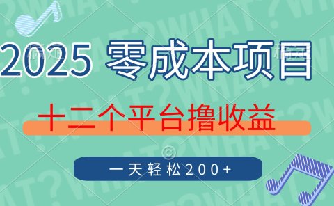 2025年零成本项目,十二个平台撸收益,单号一天轻松200+