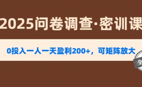 2025《问卷调查》0投入一人一天盈利200+,可矩阵放大