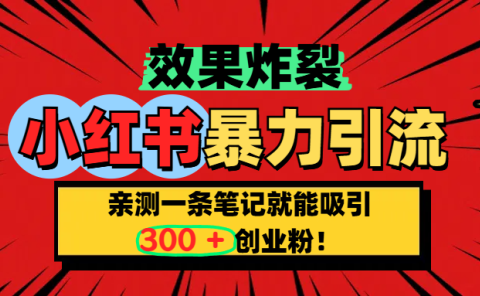 小红书炸裂玩法，亲测一条笔记就能吸引300+精准创业粉！