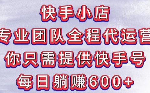 快手小店,专业团队全程代运营,你只需提供快手号,每日躺赚600+