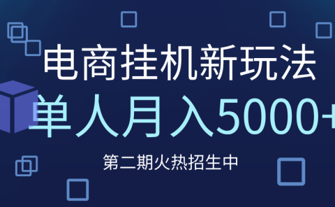 电商平台挂机新玩法,单人月入5000+攻略