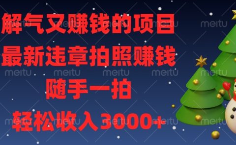 解气又赚钱的项目,最新违章拍照赚钱,随手一拍,轻松收入3000+