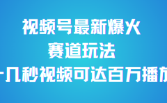 视频号最新爆火赛道玩法,流量巨大,视频制作简单,轻松月入数万