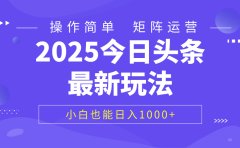 2025今日头条最新玩法,0粉可做,复制粘贴,小白也能日入1000+