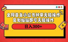 全网首发 小红书种草无脑操作复制黏贴即可 轻松日入300+