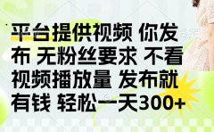发布平台提供视频就有q 无粉丝要求 不看视频播放量
