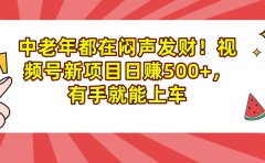 中老年都在闷声发财!视频号新项目日赚500+,有手就能上车