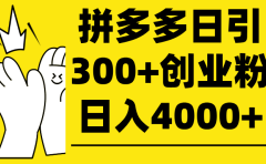 拼多多日引300+创业粉 日入4000+