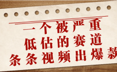 一个被严重低估的赛道,条条视频出爆款,一个月变现3万+