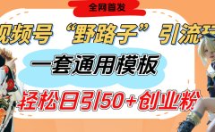 视频号“野路子”玩法，评论区疯狂截流，一套模板单日单号引流50+创业粉
