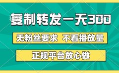 复制转发一天300+,正规平台放心做,不看播放量,无粉丝要求,随时随地赚收益
