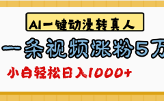 最新AI一键动漫转真人,一条视频涨粉5万,单日变现1000+