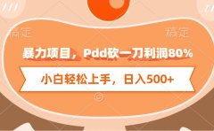 暴力项目,Pdd砍一刀利润80%,小白轻松上手,日入500+